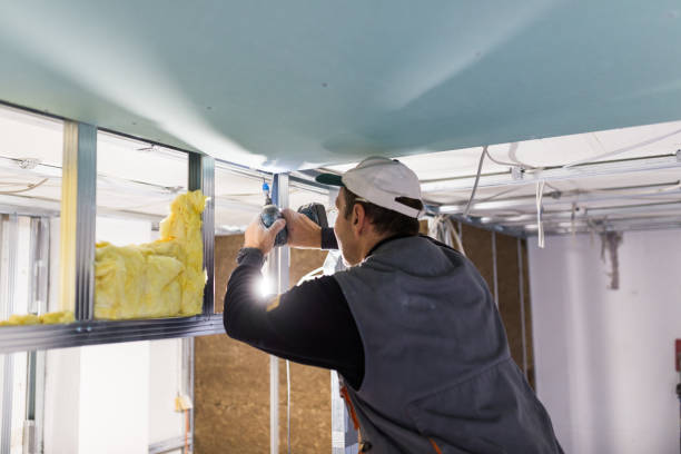 Best Attic Insulation Installation  in Emigsville, PA